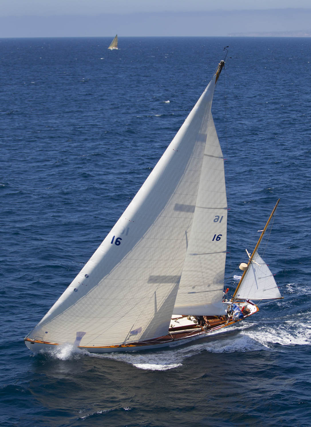 dorade yacht classic