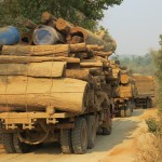 Sunseeker fined £358,000 for using illegal teak