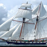 Brest festival featured on video